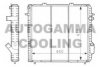 AUTOGAMMA 100895 Radiator, engine cooling